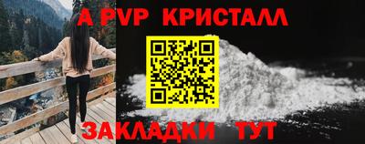 Альфа ПВП Моздок