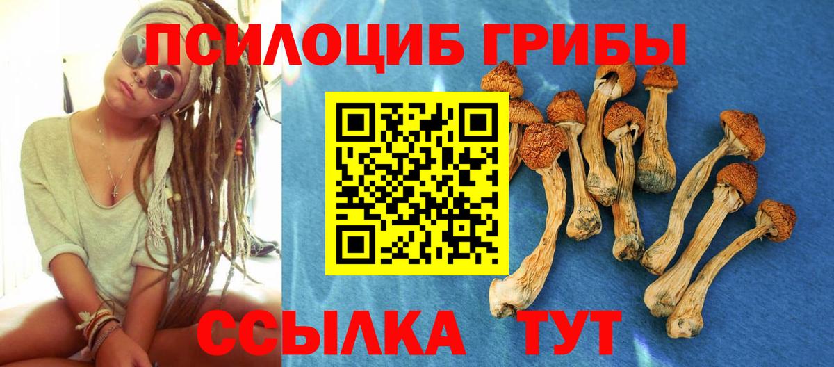 Шарыпово  Псилоцибиновые грибы мицелий  Вход с VPN 